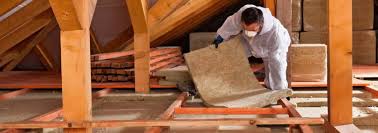 Best Insulation for Existing Homes  in Odem, TX